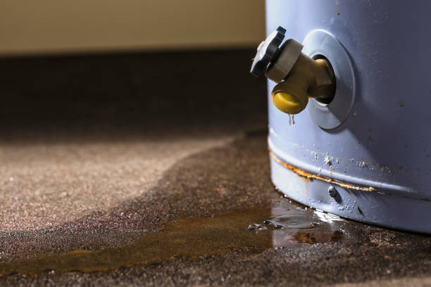 Best Professional water damage repair  in Bernie, MO
