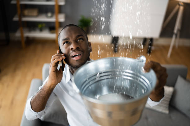 Best Water damage contractors near me  in Bernie, MO
