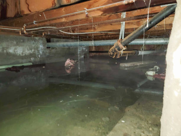 Best Water damage restoration near me  in Bernie, MO