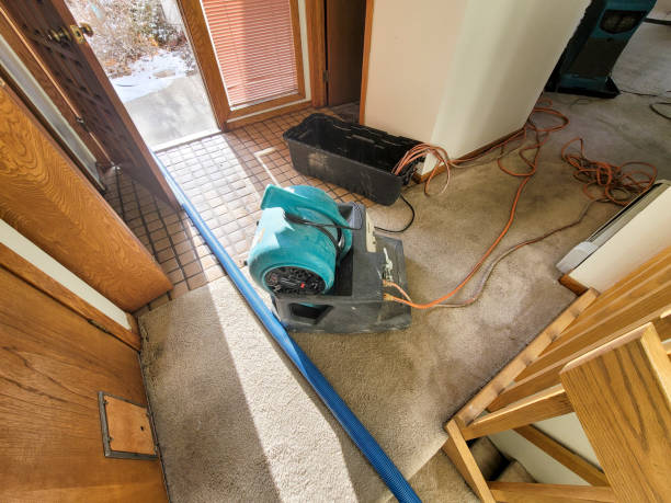 24/7 water damage repair in MO