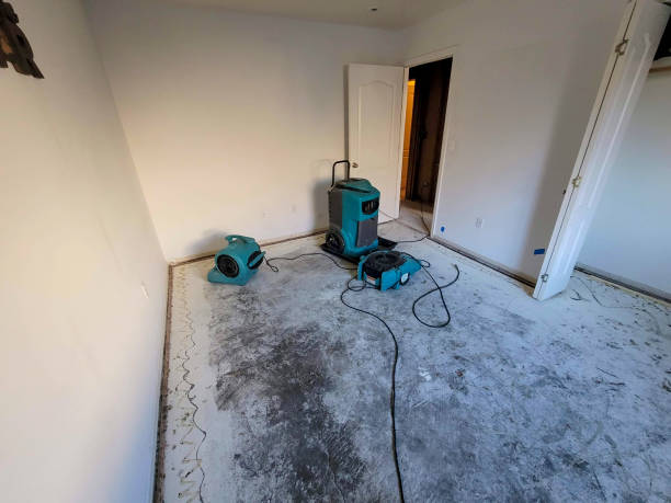 Best Local water damage restoration  in Bernie, MO