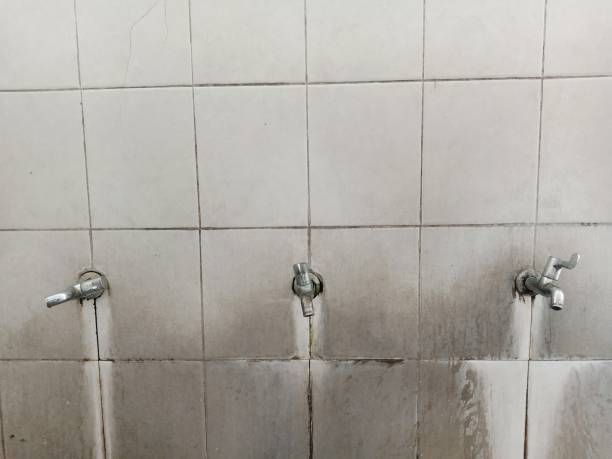 Best 24/7 water damage repair  in Bernie, MO