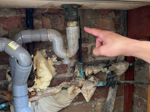 Best Water damage restoration near me  in Bernie, MO