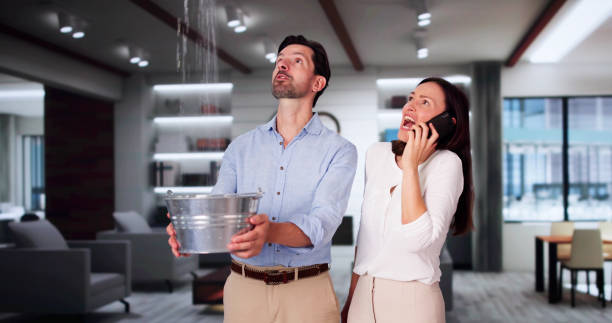 Best Flood restoration services  in Bernie, MO
